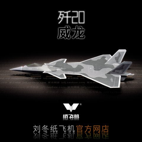 Two J-20 'Mighty Dragons' take to the skies at the Northern Region Science and Technology Festival