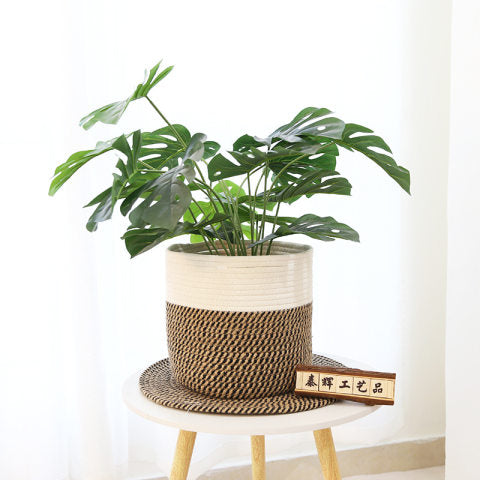 Wholesale of large straw baskets for export: jute and cotton rope woven storage baskets for indoor plants and potted flowers