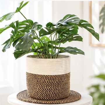 Wholesale of large straw baskets for export: jute and cotton rope woven storage baskets for indoor plants and potted flowers